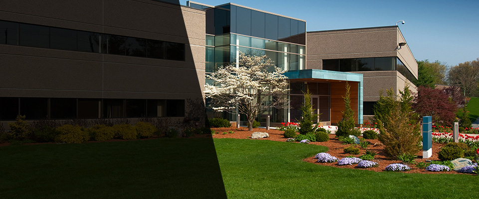 Fort Lauderdale Landscapers