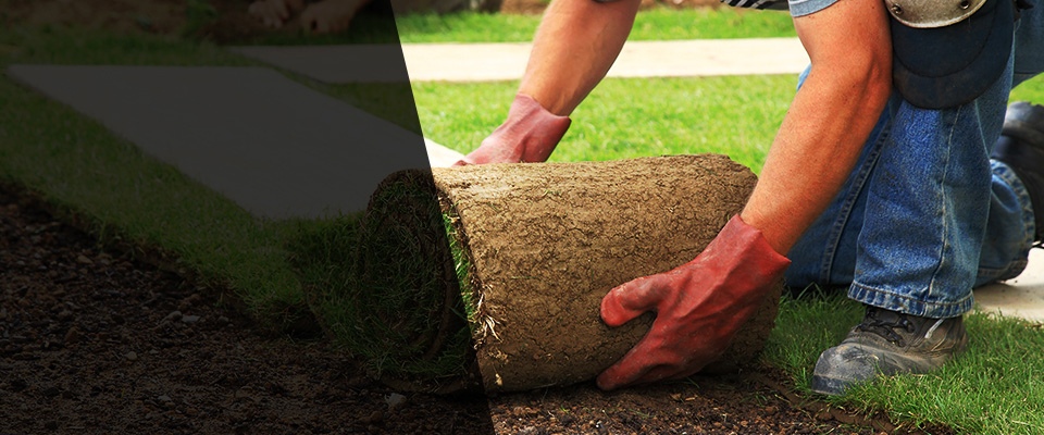 Fort Lauderdale Landscapers